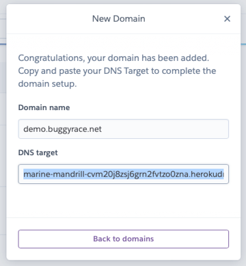 Screenshot of setting up domain on Heroku website