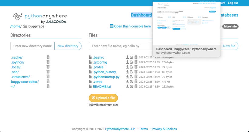 Screenshot of PythonAnywhere buggy-race-editor files